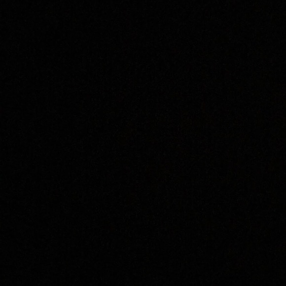 Meet your Posher, Alissa - Picture 1 of 1